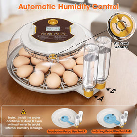 MQUPIN built-in LED candler identifies viable embryos early.