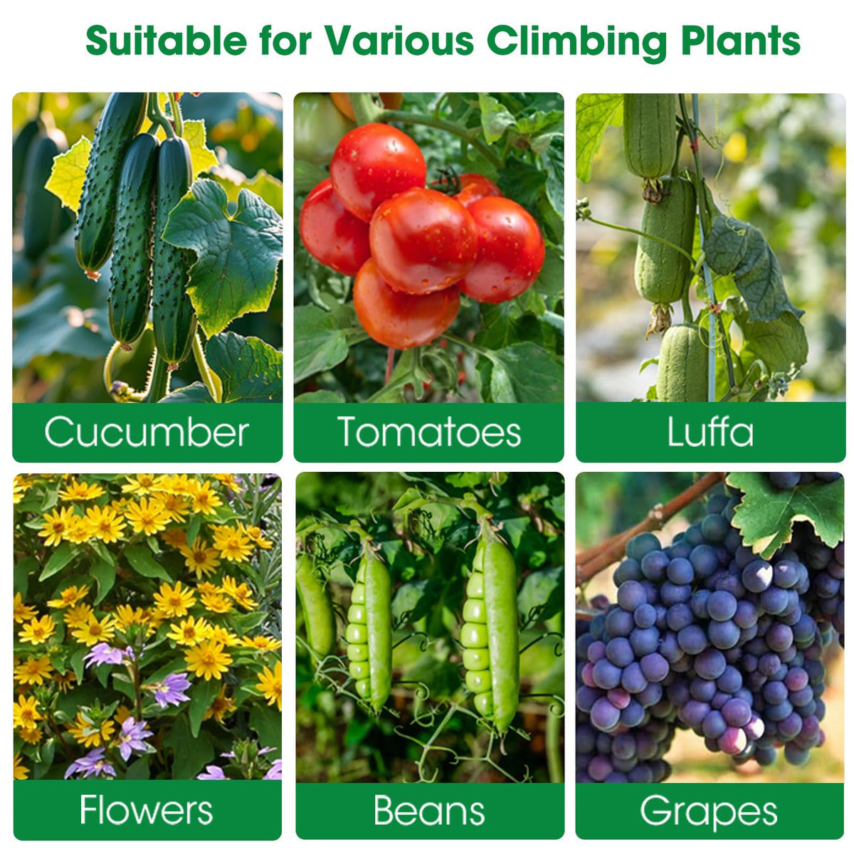 MQUPIN cucumber trellis durable steel tubes for long‑lasting garden use