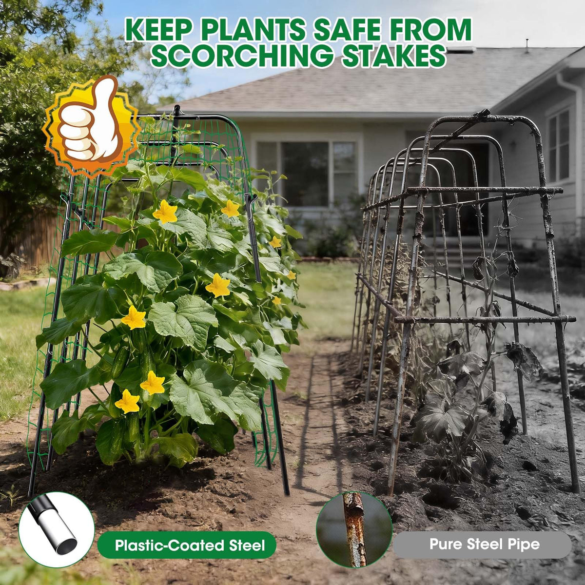 MQUPIN cucumber trellis versatile for cucumbers, beans, peas, and more