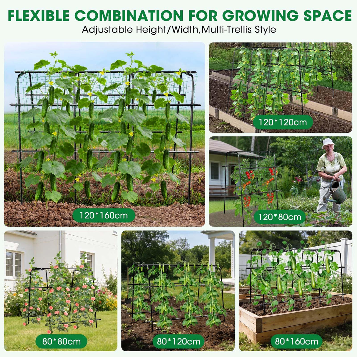 MQUPIN cucumber trellis ideal for raised beds or traditional plots