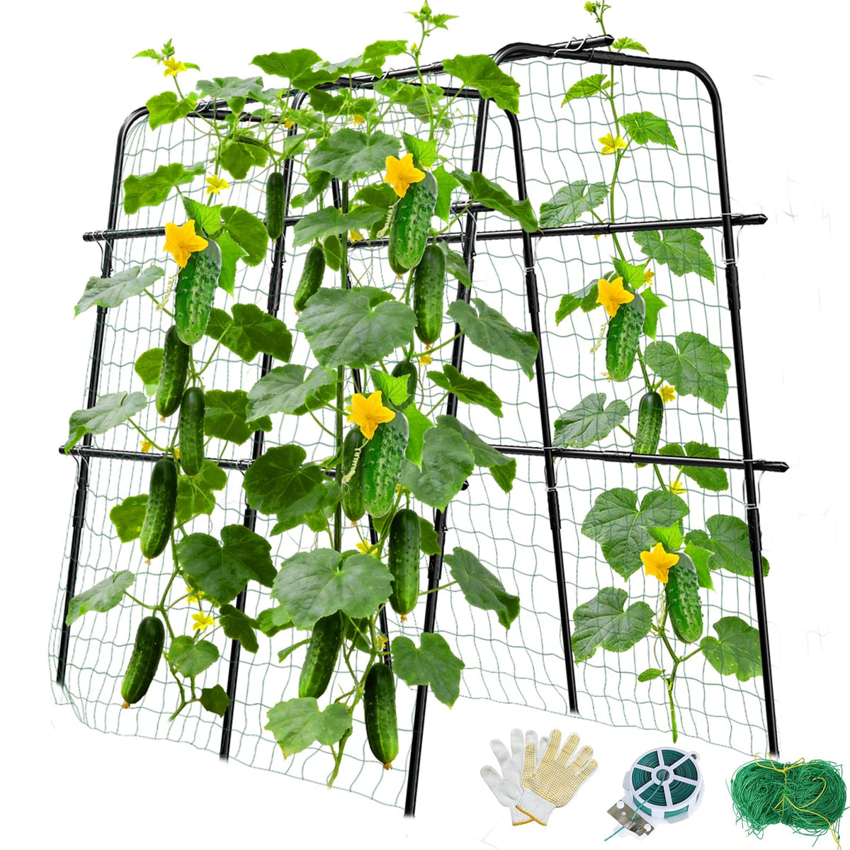 MQUPIN cucumber trellis with a U-shaped arch supports heavy vines in raised beds.