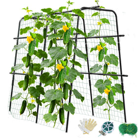 MQUPIN cucumber trellis with a U-shaped arch supports heavy vines in raised beds.