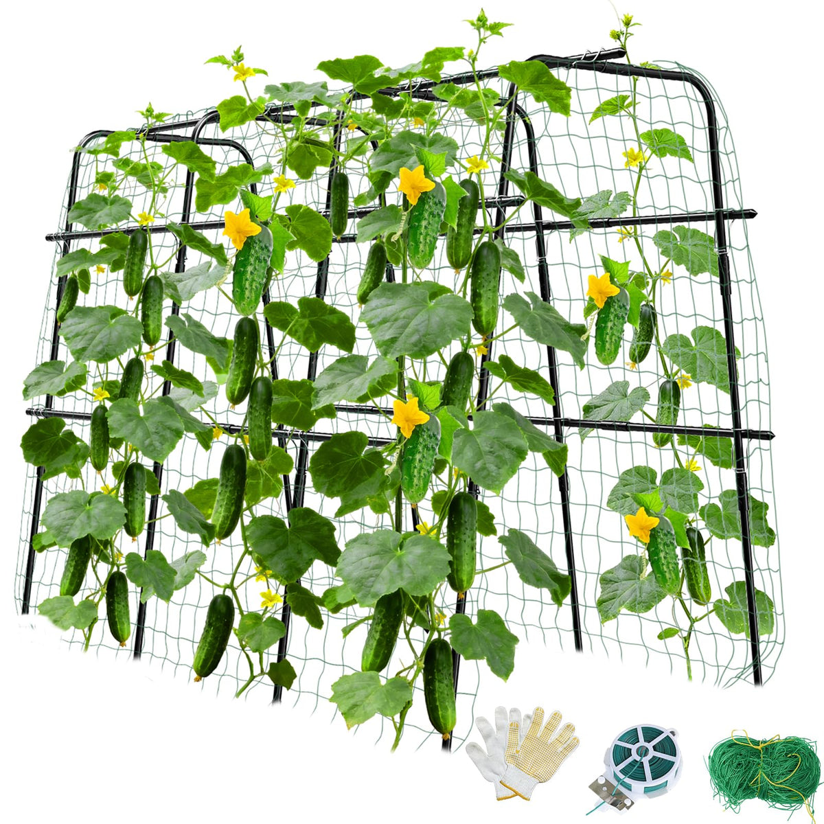 MQUPIN cucumber trellis with U-shaped arch provides stable support for heavy fruit