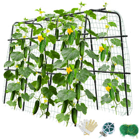MQUPIN cucumber trellis with U-shaped arch provides stable support for heavy fruit