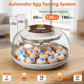 MQUPIN large tray accommodates goose or duck eggs for versatile hatchery.