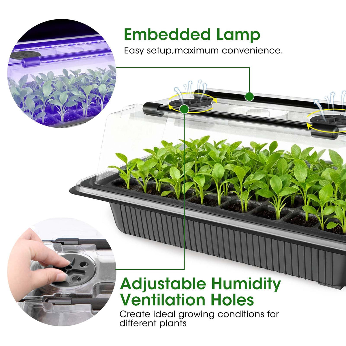 MQUPIN humidity dome with adjustable vents maintains balanced moisture and airflow.