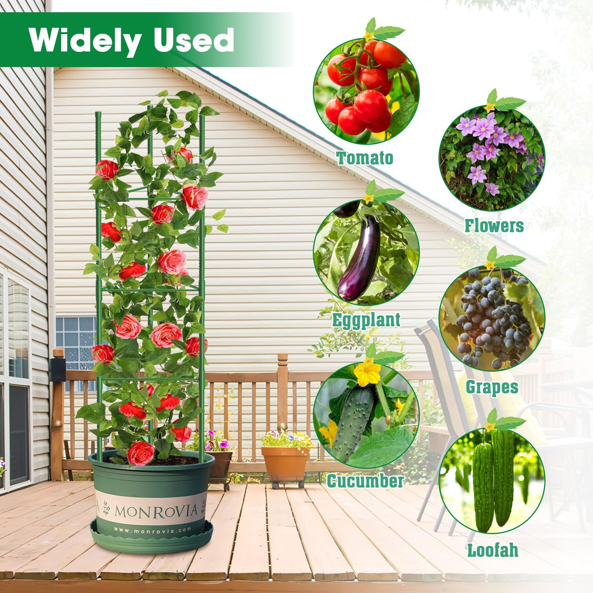 MQUPIN foldable tomato cage saves space when stored