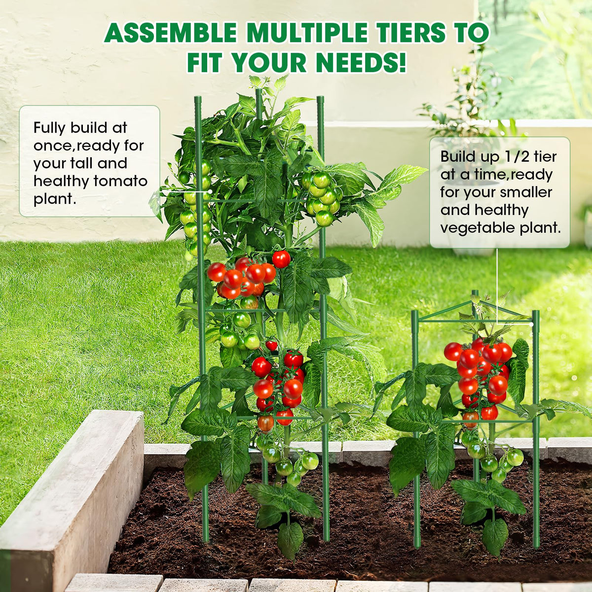 MQUPIN heavy-duty tomato cage with sturdy 8mm tubes