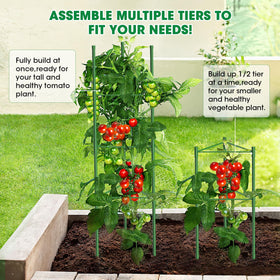 MQUPIN heavy-duty tomato cage with sturdy 8mm tubes
