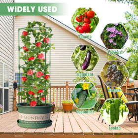 MQUPIN tomato cage framing for climbing vegetables and flowers