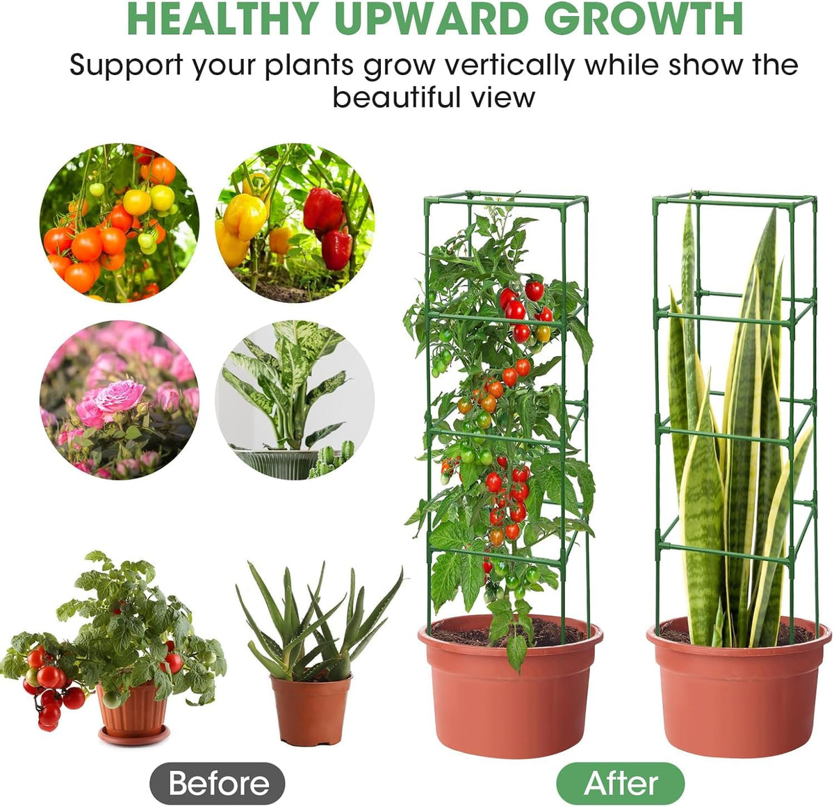 MQUPIN stable support for climbing plants to prevent sagging