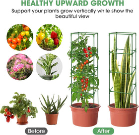 MQUPIN stable support for climbing plants to prevent sagging