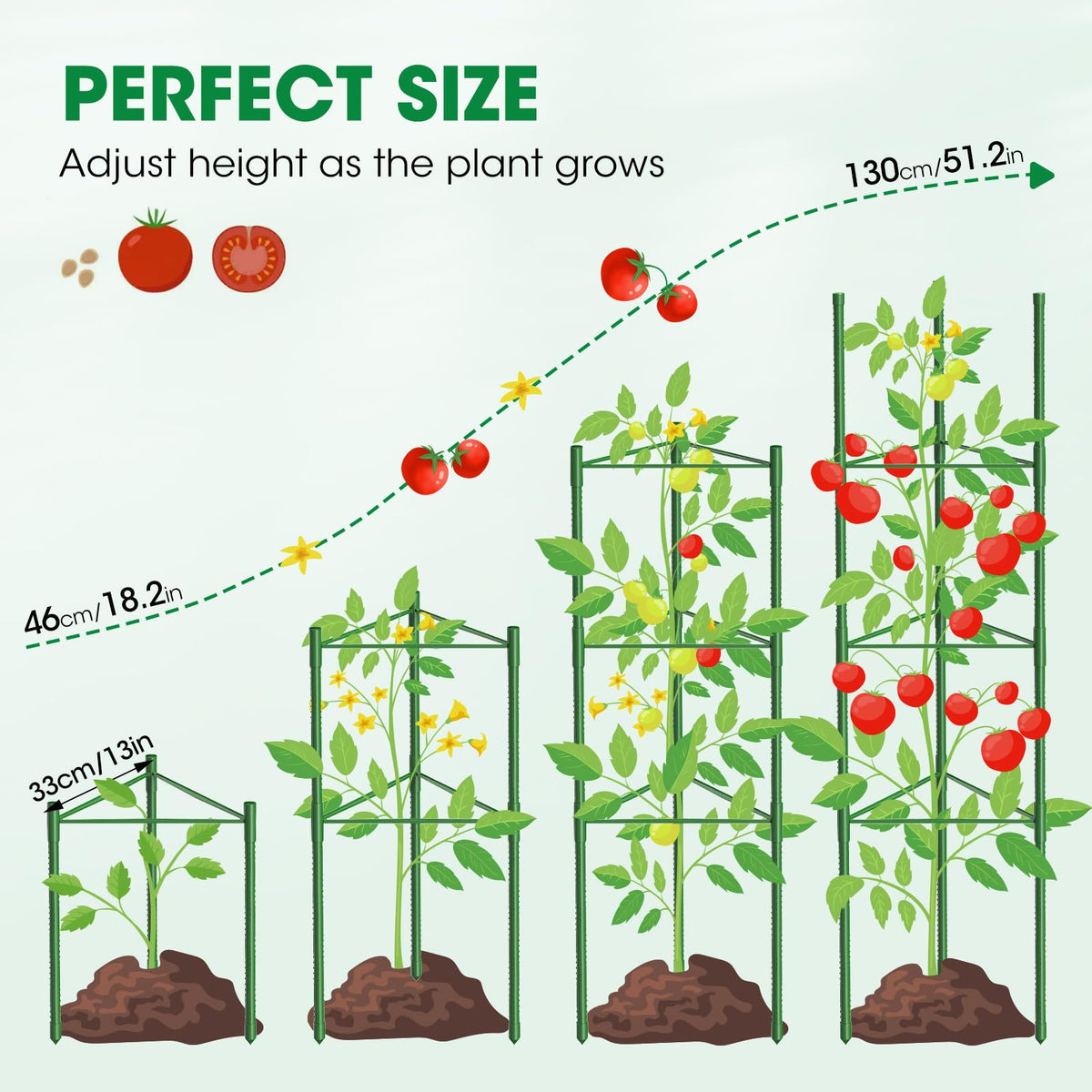 MQUPIN ventilated tomato cage improving airflow and sun exposure