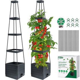 MQUPIN tomato planter with trellis offers 57-inch vertical support for climbing tomatoes in small spaces.