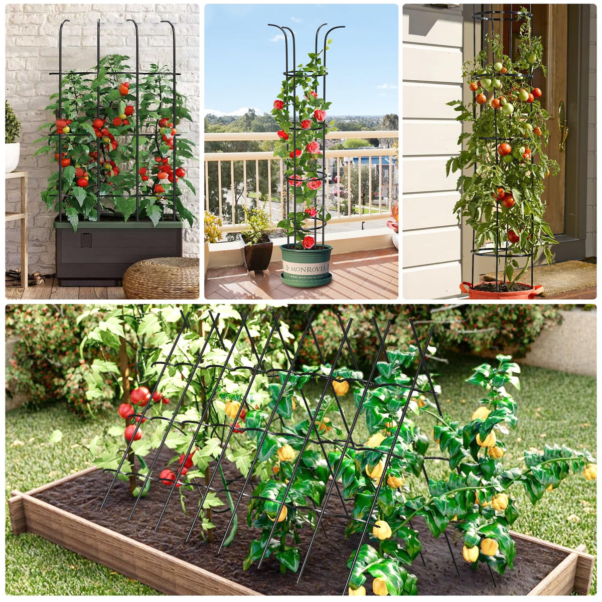 MQUPIN tomato seedling stake supports vines and fruiting plants