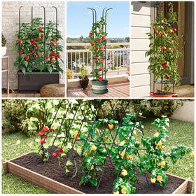 MQUPIN tomato seedling stake supports vines and fruiting plants