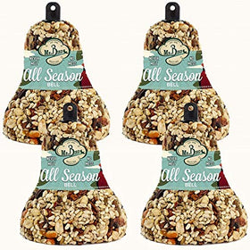 Mr. Bird All Season Fruit and Nut Seed Bell front view attracts diverse backyard birds.