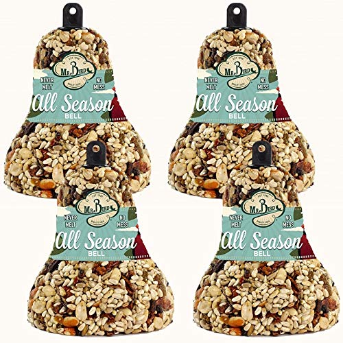 Mr. Bird All Season Fruit and Nut Seed Bell front view attracts diverse backyard birds.