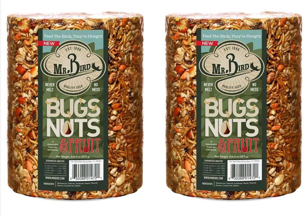 Mr. Bird Bugs Nuts Fruit seed cylinder on a platform feeder, attracts a variety of birds.