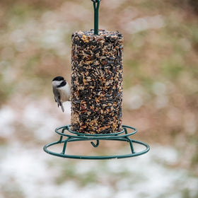 Mr. Bird EZ Feeder side view shows capacity for large or small cylinders, ideal for varied birds.