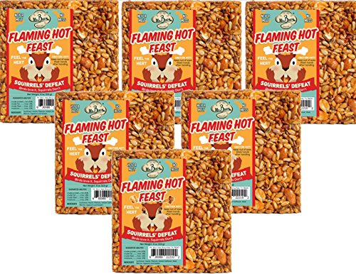 Mr. Bird Flaming Hot Feast seed cake 6-pack ready for year-round bird feeding.