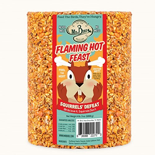 Close-up of Mr. Bird Flaming Hot Feast cylinder showing spicy blend for year-round feeding