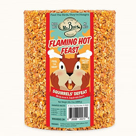 Close-up of Mr. Bird Flaming Hot Feast cylinder showing spicy blend for year-round feeding