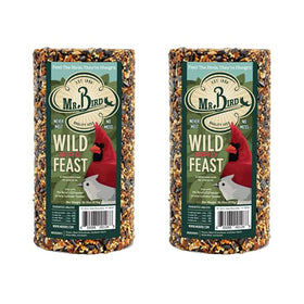 Mr. Bird Wild Bird Feast 28oz cylinder ready to hang with net for year-round feeding.