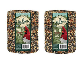Mr. Bird Wild Bird Feast cylinder 4 lb pack for steady year-round feeding.