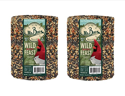 Mr. Bird Wild Bird Feast cylinder 4 lb pack for steady year-round feeding.