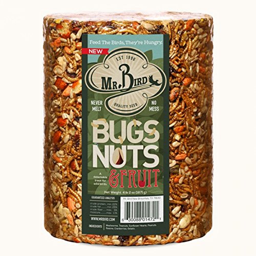 Mr. Bird wild bird seed cylinder, 6-inch size, designed for long-lasting outdoor feeding.