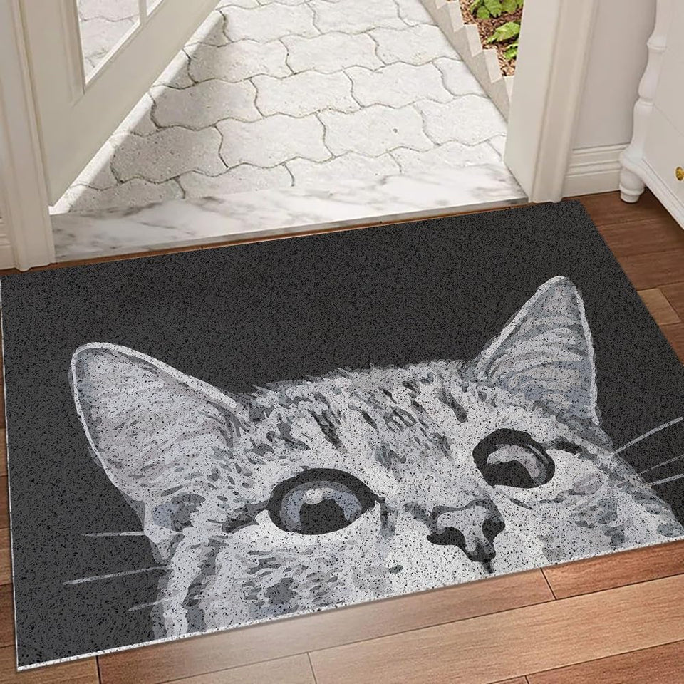 MR FANTASY Cat Door Mat with absorb-dirt surface traps debris at the threshold.