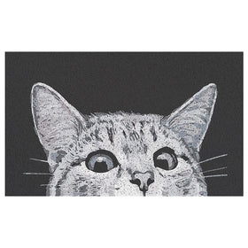 MR FANTASY Cat Door Mat handles muddy paws with minimal effort.