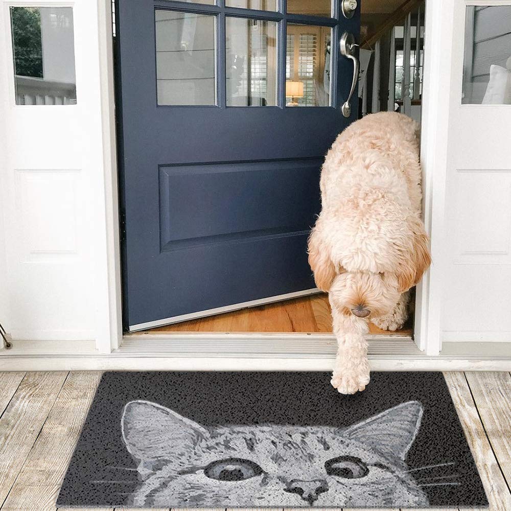 MR FANTASY Cat Door Mat suits indoor and outdoor high-traffic areas.