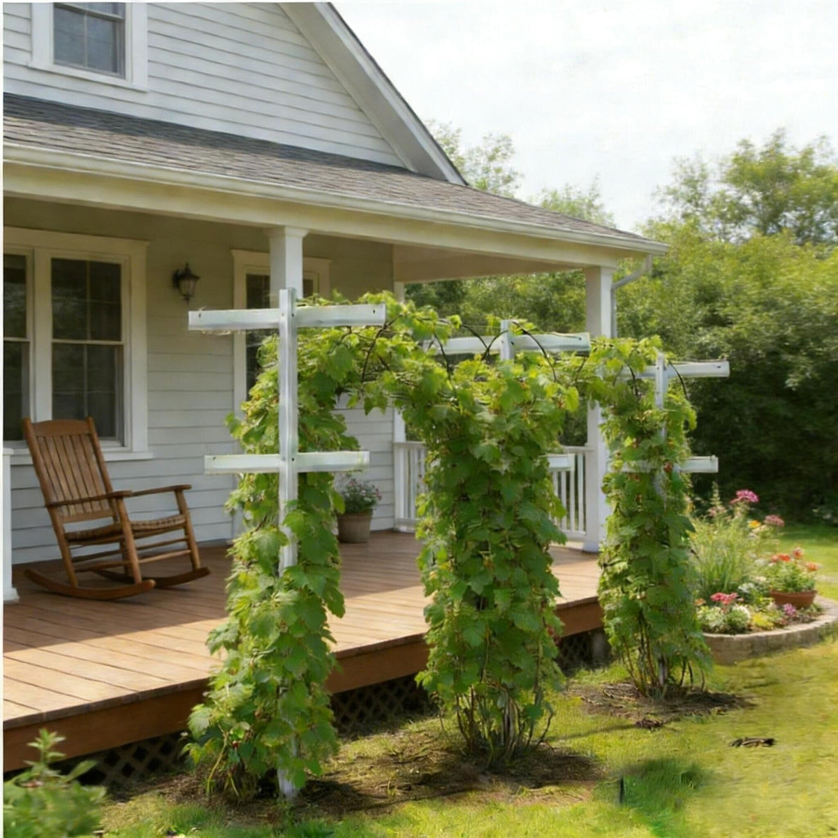 Mr Garden outdoor trellis shown with climbers like clematis and morning glory