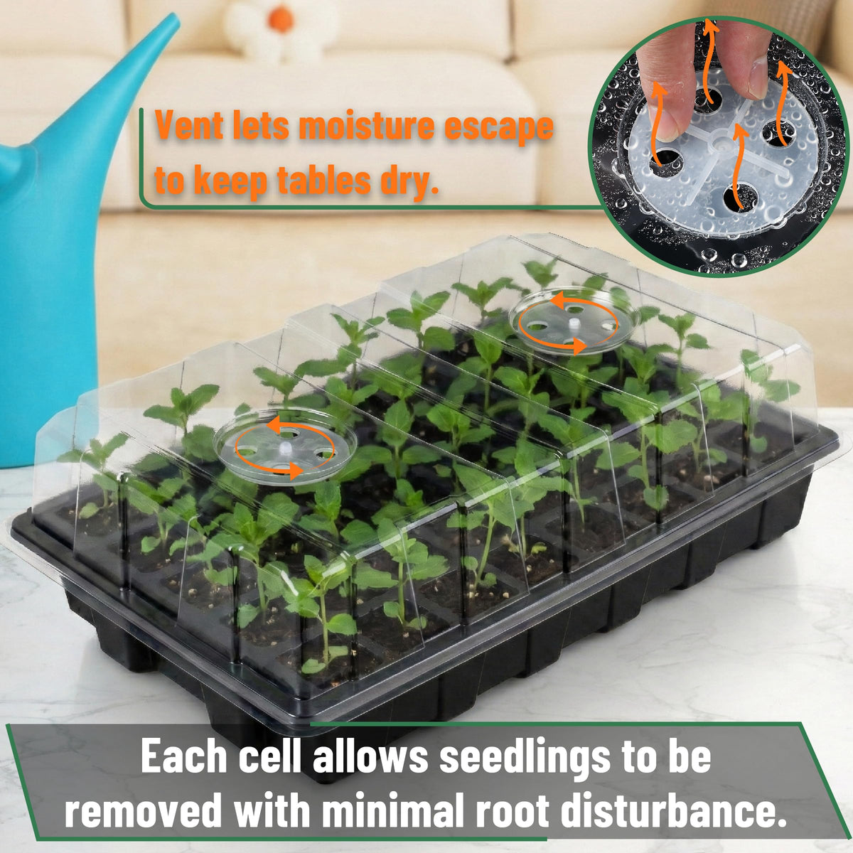 Mr. Pen trays feature drainage holes to manage moisture and root health.