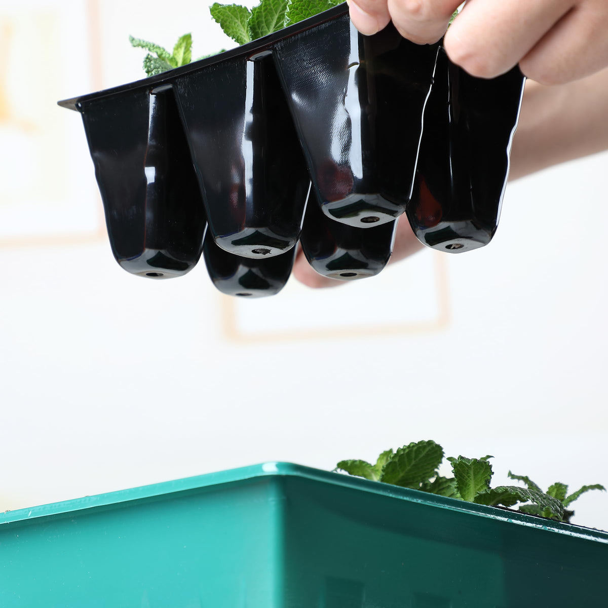 Mr. Pen complete seed starting solution with 10 kits