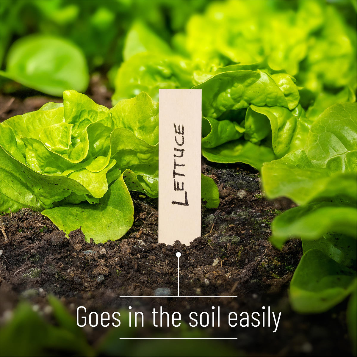 Mr. Pen labels help amateurs and pros track growth and care.