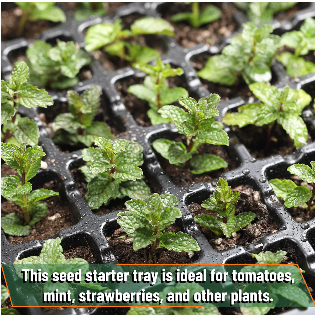 Mr. Pen seed starter tray designed for beginners and seasoned gardeners alike.