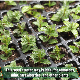 Mr. Pen seed starter tray designed for beginners and seasoned gardeners alike.