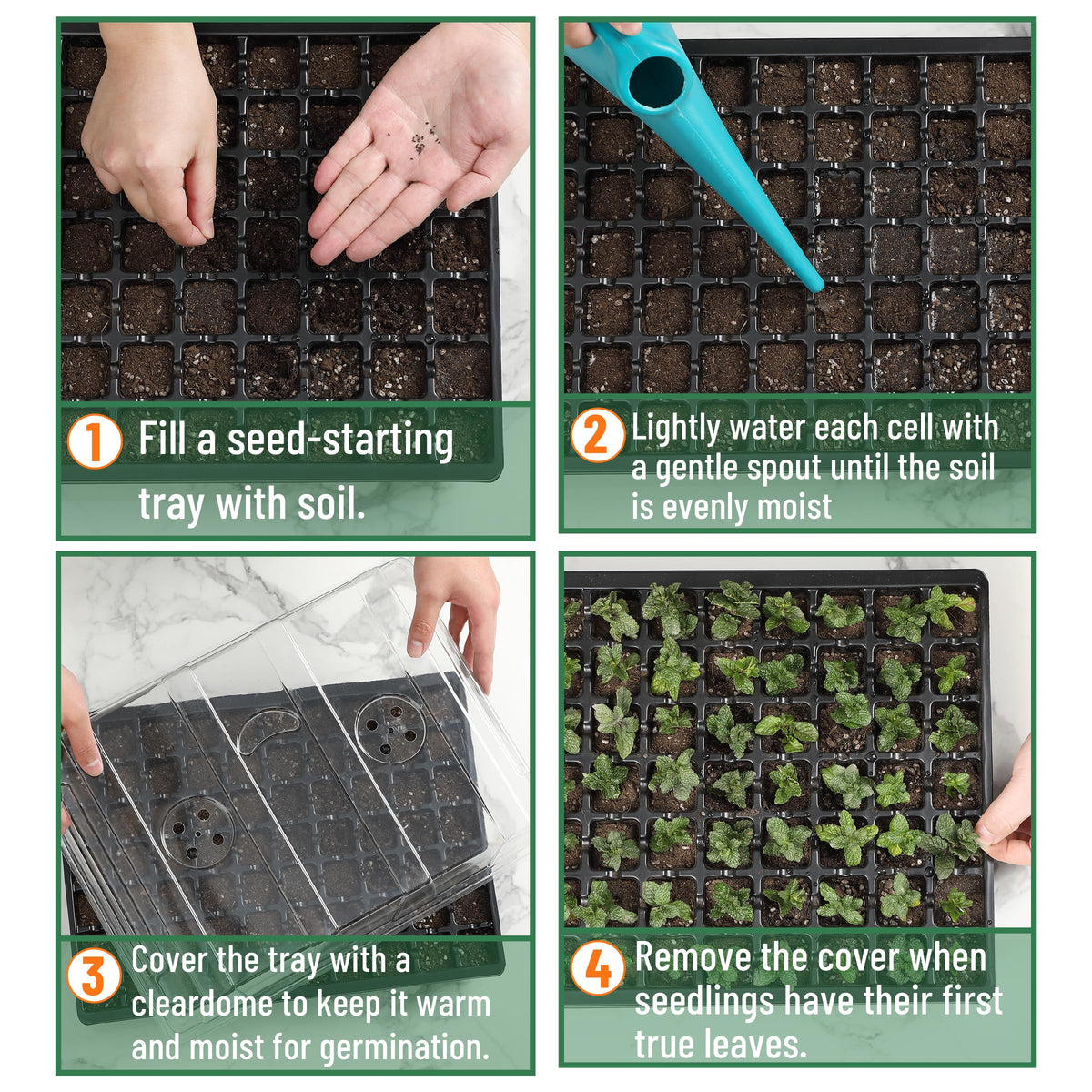 Mr. Pen seed starter tray ideal for flowers vegetables and herbs.