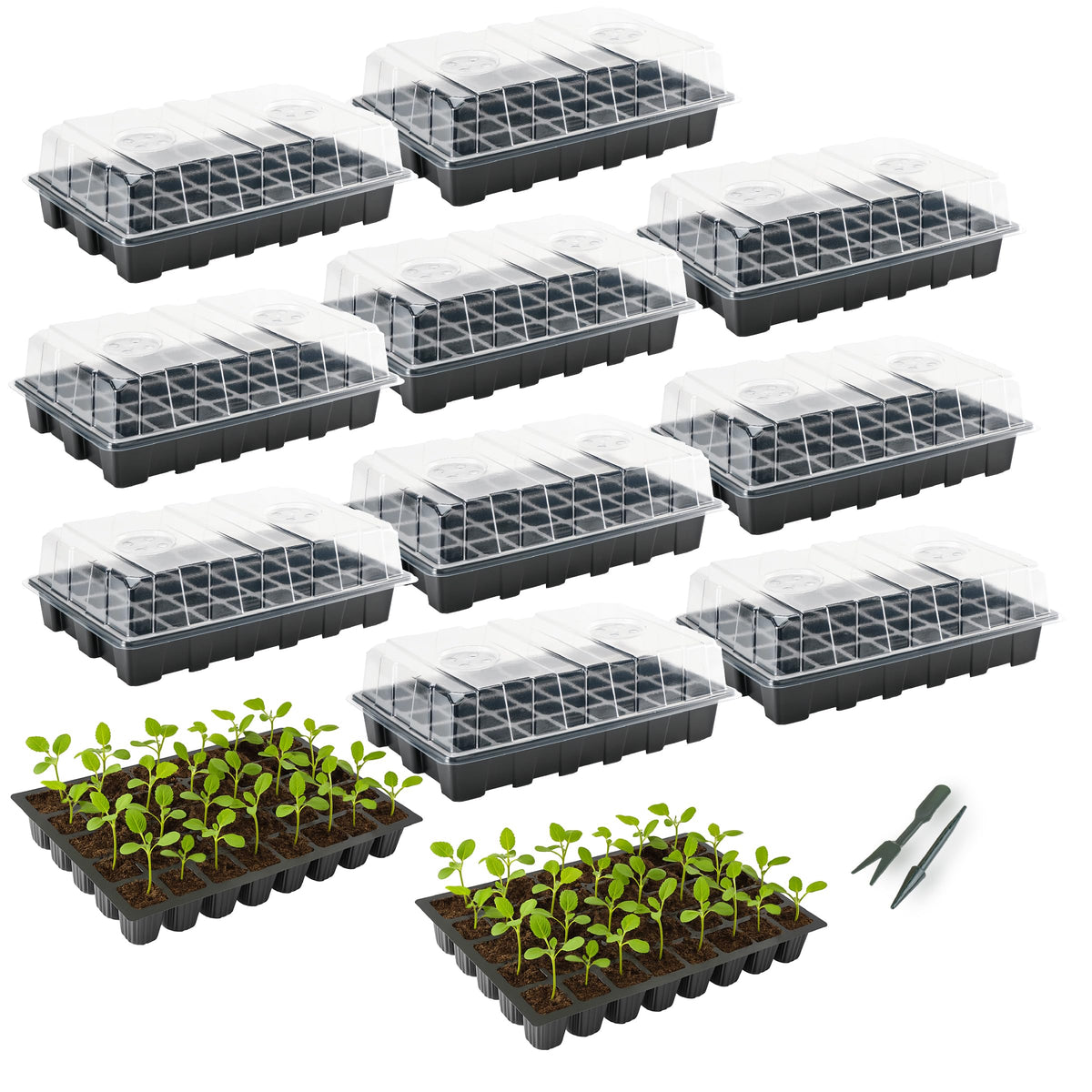 Mr. Pen seed starter tray kit base for organized seed starting and transplant readiness.