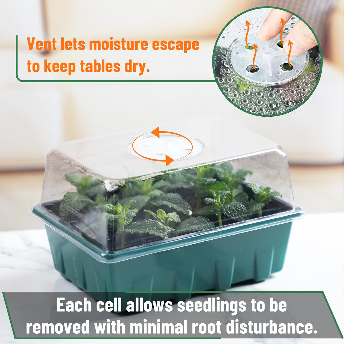 Mr. Pen seed starter tray demonstrates root-friendly release during transplanting