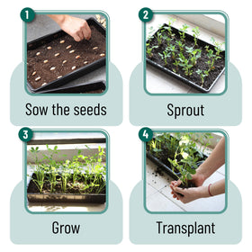 Mr. Pen seed starter trays raised edges help keep work areas tidy.