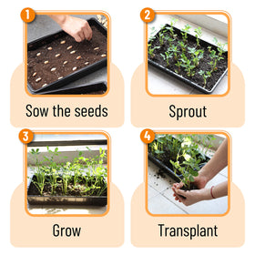 Mr. Pen Seed Starter Trays are suitable for indoor or outdoor planting setups.