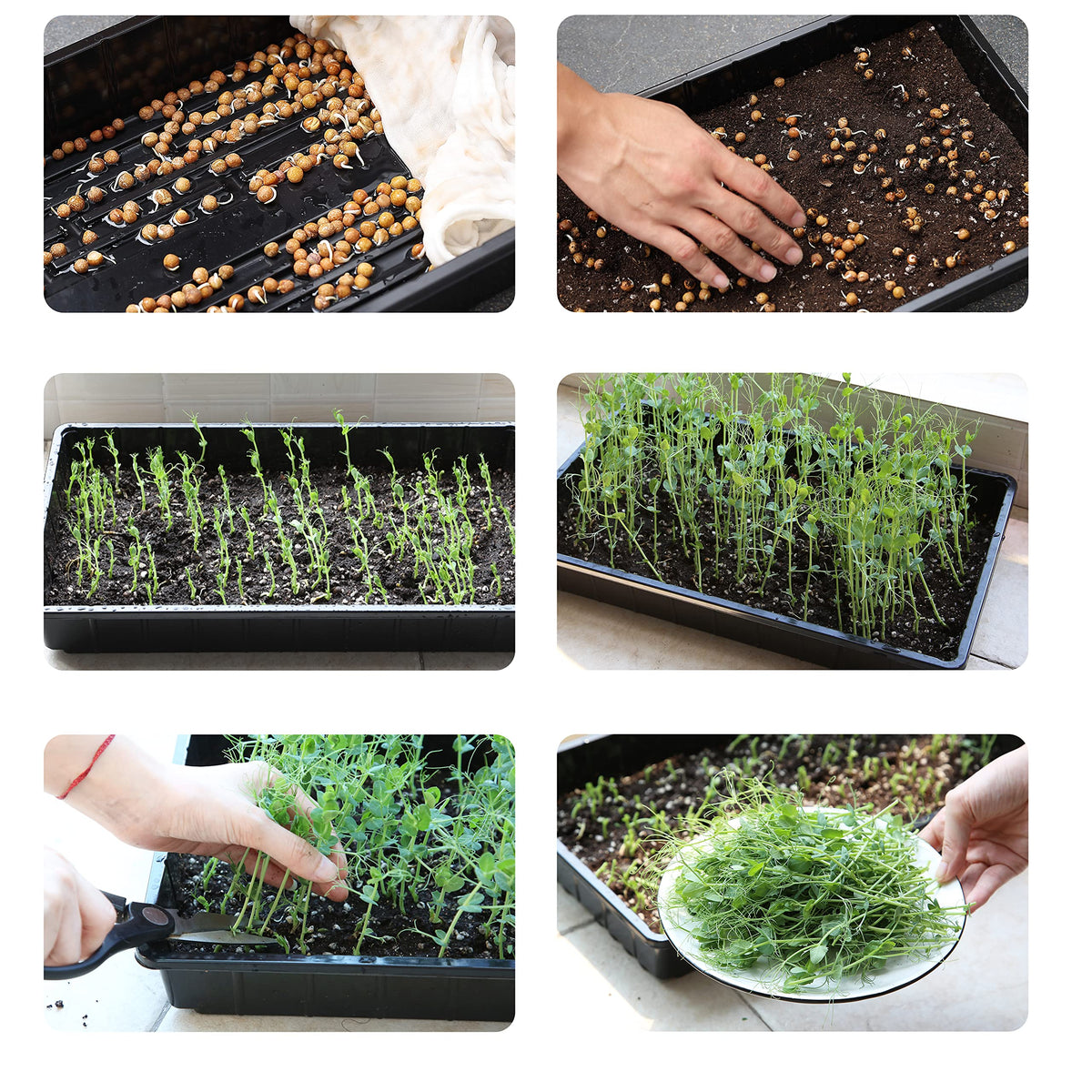 Mr. Pen Seed Starter Trays feature a one-piece design for quick setup and cleanup.