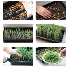 Mr. Pen Seed Starter Trays feature a one-piece design for quick setup and cleanup.