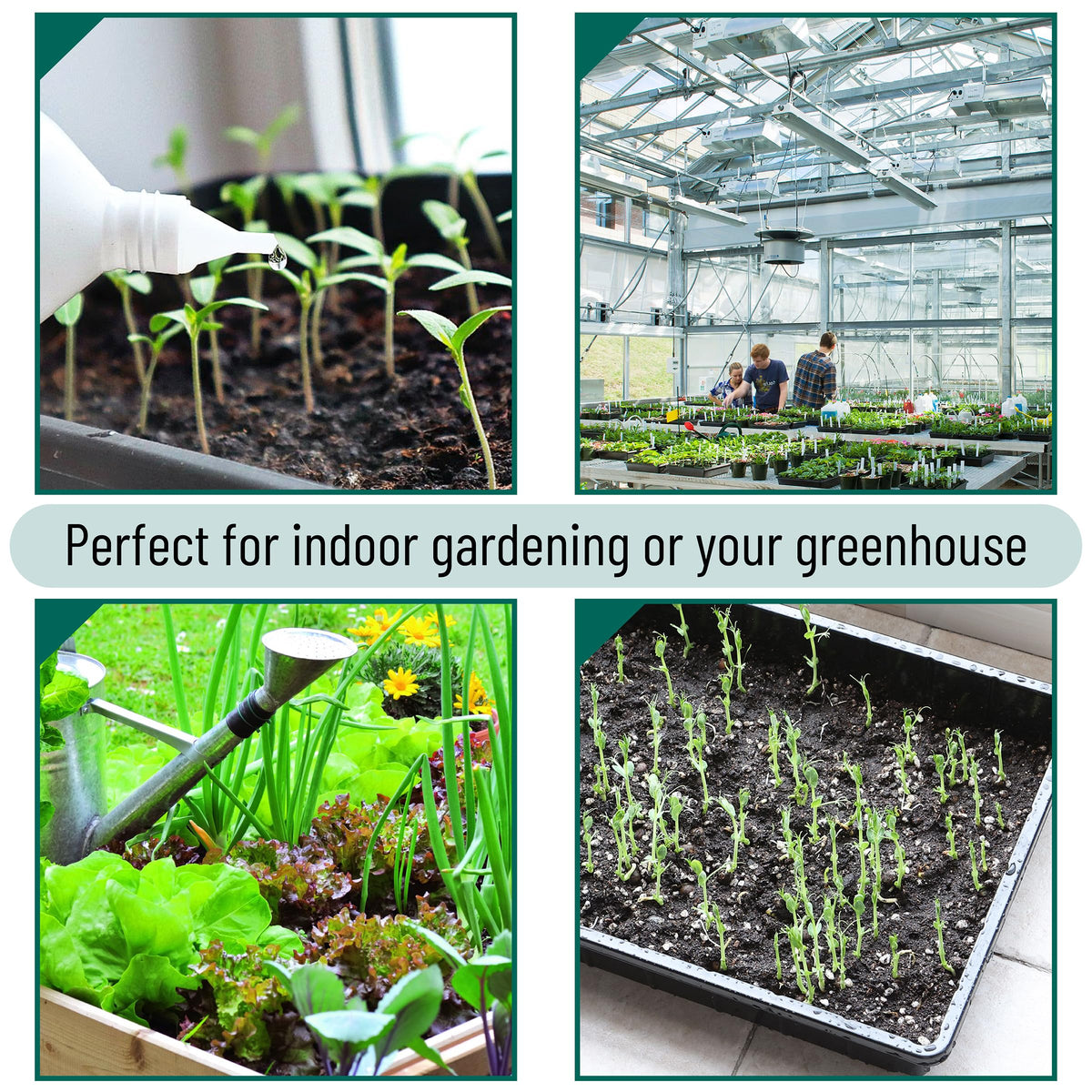 Mr. Pen seed starter trays easy to clean and maintain.