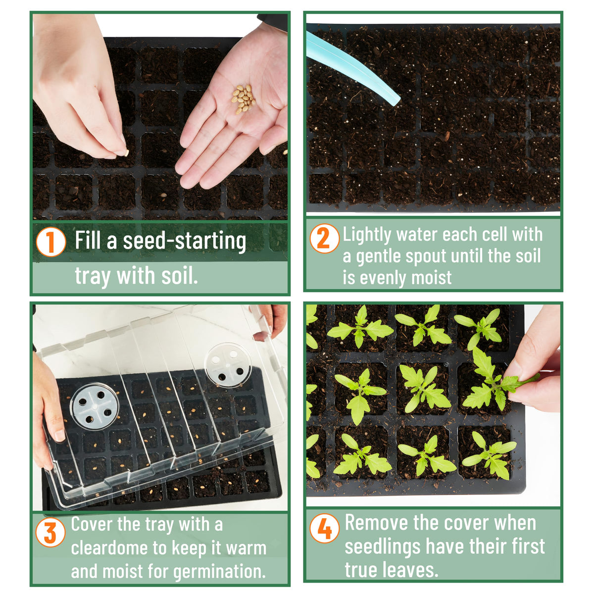 Mr. Pen shovel and scoop included for clean soil filling and transplanting.