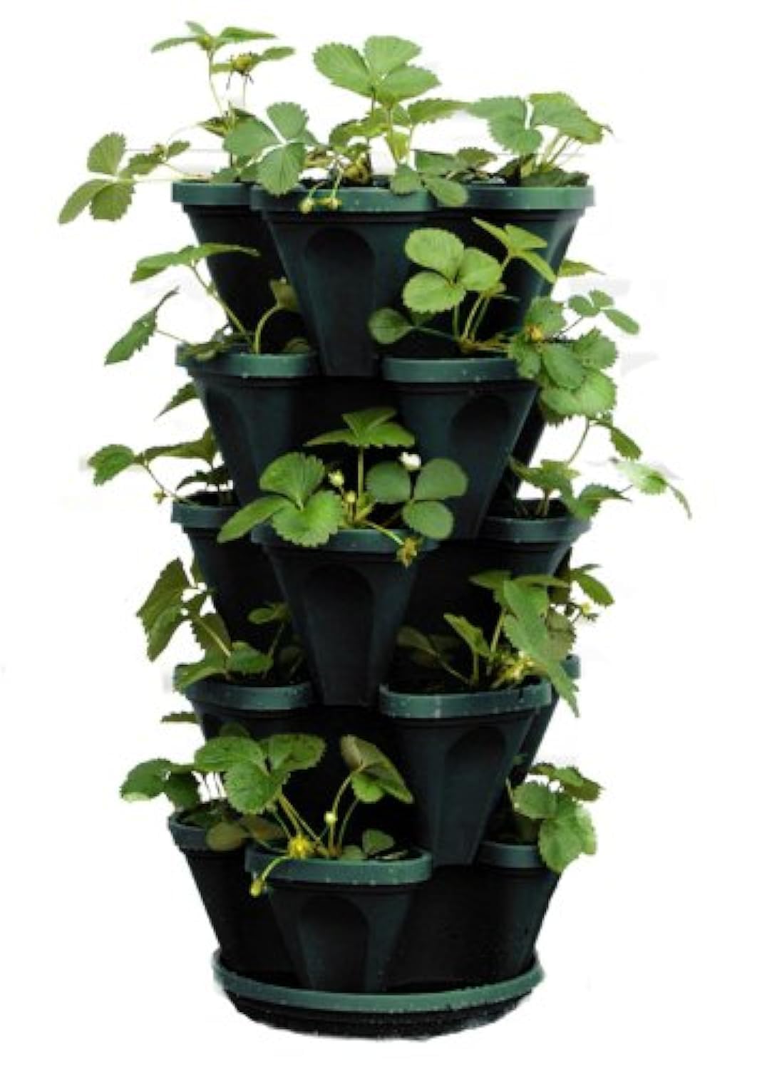 Mr. Stacky 1305-HG five-tier planter side view, space-saving strawberry display